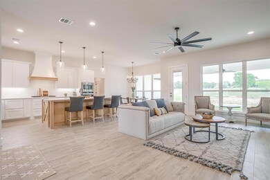 1073 Alex Dr, Springtown, TX 76082 - photo 5