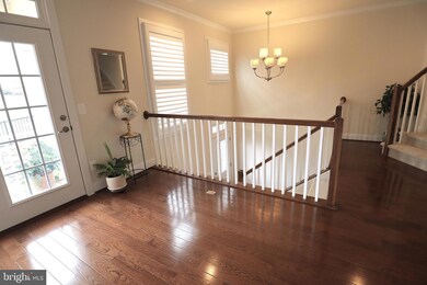 46679 Joubert Terrace, Potomac Falls, VA 20165 - photo 6