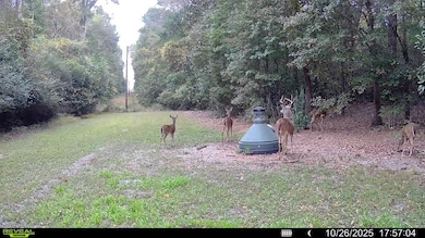 0 N Main St, Ashburn, GA 31714 - photo 2