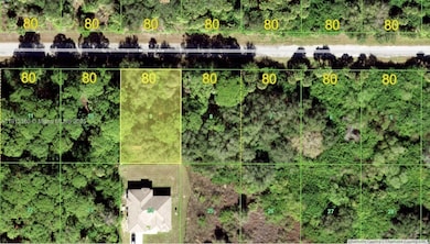 14481 Mcmillan Ave, Port Charlotte, FL 33953 - photo 2