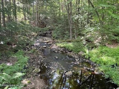 Daley Creek
