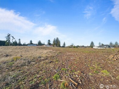 597 Brown, Adna, WA 98522 - photo 5