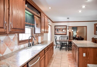 Gorgeous granite counters and an integrated sink!