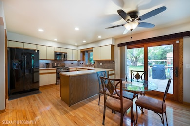 1440 Gaslight Dr, Algonquin, IL 60102 - photo 5