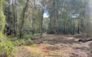 979 SE Rogers Dr, Lulu, FL 32061 - photo 7