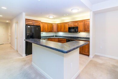 827 Asa Gray Dr unit 354, Ann Arbor, MI 48105 - photo 7