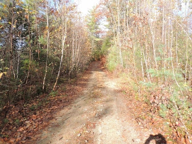 140 Chickville Rd, Ossipee, NH 03864 - photo 4