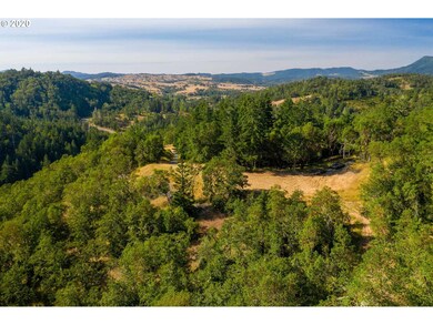 1393 Old Pioneer Rd, Oakland, OR 97462 - photo 4