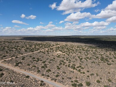pic6.dji_fly_20231028_120008_236_1698519