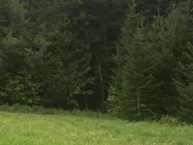 00 Pasture View Rd, Stewartstown, NH 03576 - photo 5