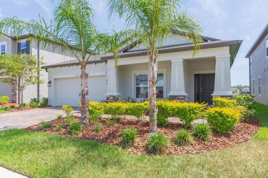 Front Entry Landscaping