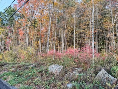 104 S Mountain Rd, Northfield, MA 01360 - photo 6