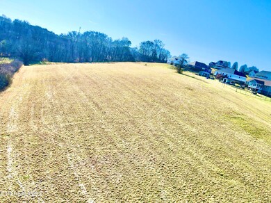 dji_fly_20250203_151634_243_173861380226