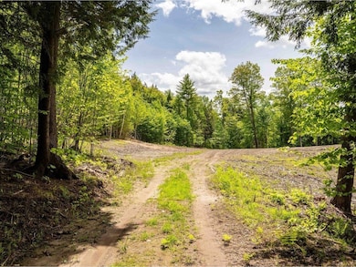 Driveway to cleared acreage