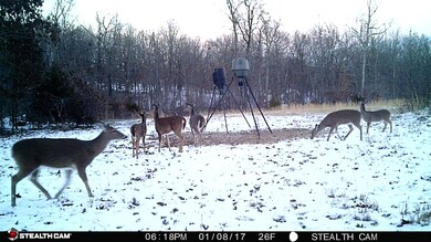 Deer2
