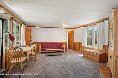 40 Aspen Village Rd, Aspen, CO 81611 - photo 3