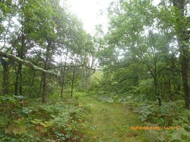 17.53 Ac W Lupine Ln, Cutler, WI 54618 - photo 5