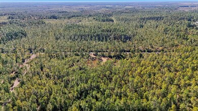 0 NE 212th St unit MFRG5104432, Fort McCoy, FL 32134 - photo 6