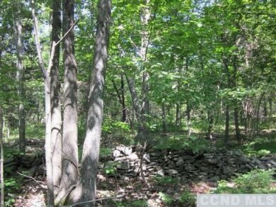 0 Post Hill Rd unit 97496, Taghkanic, NY 12502 - photo 4