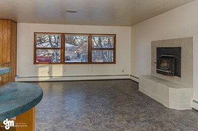 Fireplace and Windows