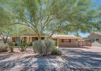 Front desert landscaping