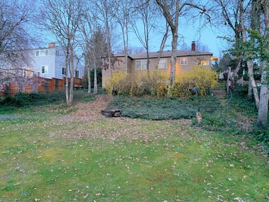 back yard