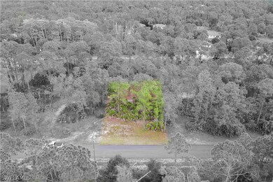 2016 Jefferson Ave, Alva, FL 33920 - photo 3