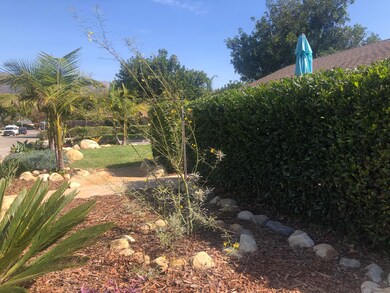 Front garden