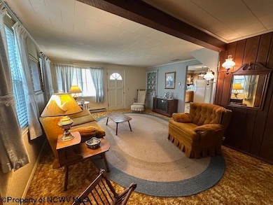 24 Crab Apple Ln, Valley Bend, WV 26293 - photo 5