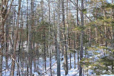 0 20 Mile Stream Rd, Cavendish, VT 05142 - photo 5