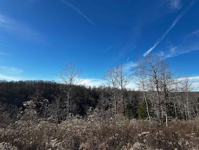 000 Heulan Way, Mountain View, AR 72560 - photo 6