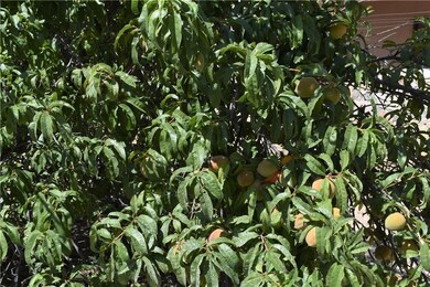 1571 S Kenazo Ave, Horizon City, TX 79928 - photo 3