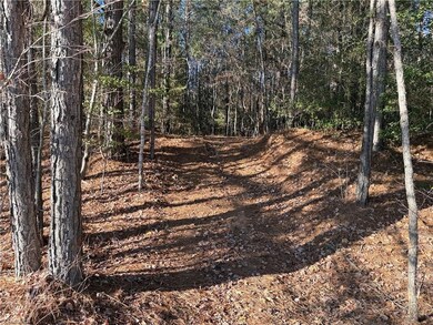 Lot 3 Willie Rd, Seagrove, NC 27341 - photo 4