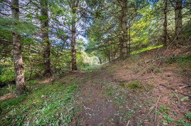 1286 Cox Store Rd SW, Floyd, VA 24091 - photo 4