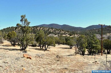 5207 Little Walnut Rd, Silver City, NM 88061 - photo 4