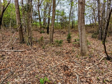 Lot 762 Surrey Ln, Spencer, TN 38585 - photo 7