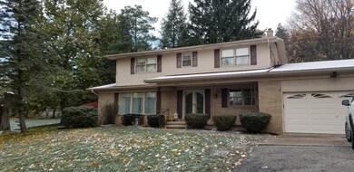 270 Ridgewood Ct, Ionia, MI 48846 - photo 4