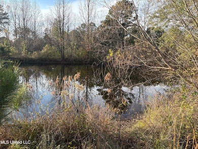 824 Ratliff Ferry Rd, Canton, MS 39046 - photo 2