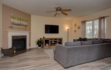 Living Space (3)