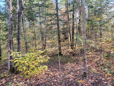 3789W W Indian Way Rd, Draper, WI 54896 - photo 3