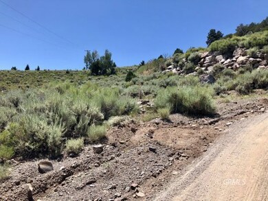 Looking up the Hill