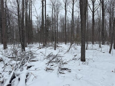 000000000 County Rd E, Mason, WI 54856 - photo 4