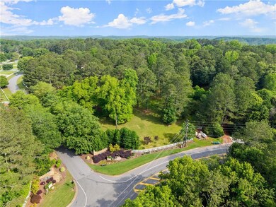Bird's eye view of a forest