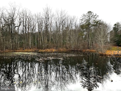 Lot #16 Forest Ln, Cooke Township, PA 17241 - photo 6