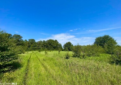 0 Albert Evans Rd unit 335684, Wilmer, AL 36587 - photo 6