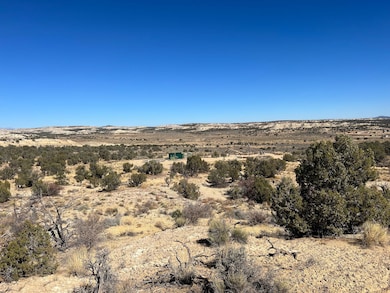 0 New Mexico 574, Aztec, NM 87410 - photo 6