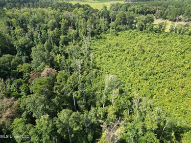 00 Johns Shiloh Rd, Brandon, MS 39042 - photo 4