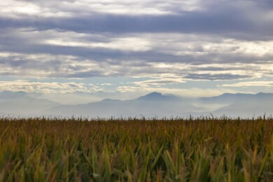 Goshen-Corn-and-Mountains02-scaled
