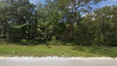 0 Lot 102 Ne 118th Terrace unit MFRGC535677, Bronson, FL 32621 - photo 3