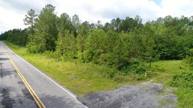 00 Mcentire Rd, Chatsworth, GA 30705 - photo 2